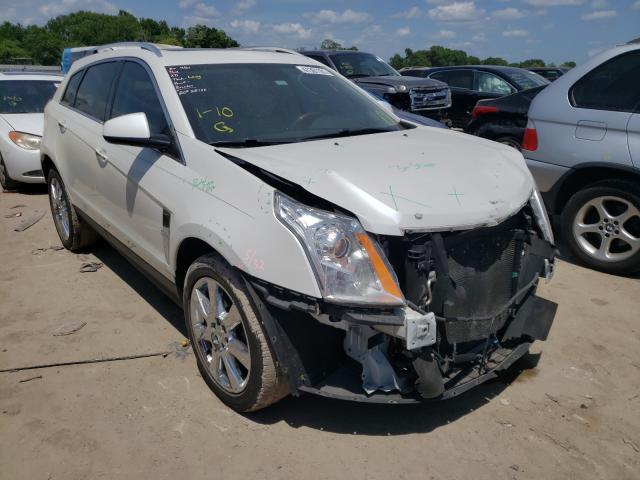 CADILLAC SRX PERFOR 2010 3gyfnbey2as591622