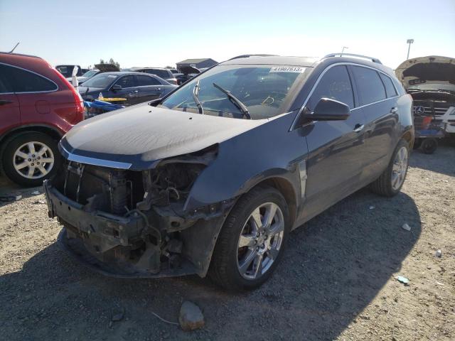 CADILLAC SRX PERFOR 2010 3gyfnbey2as627938