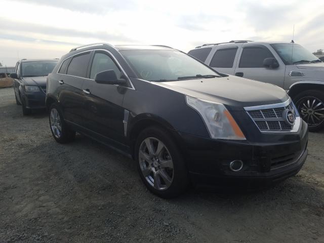 CADILLAC SRX PERFOR 2011 3gyfnbey2bs538159