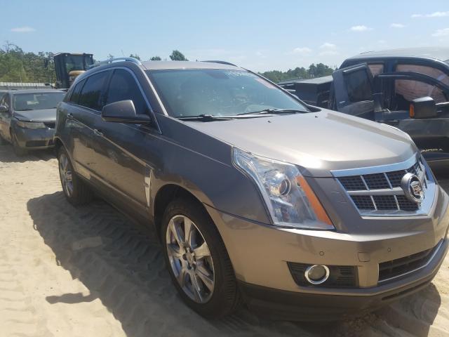 CADILLAC SRX PERFOR 2011 3gyfnbey2bs578080