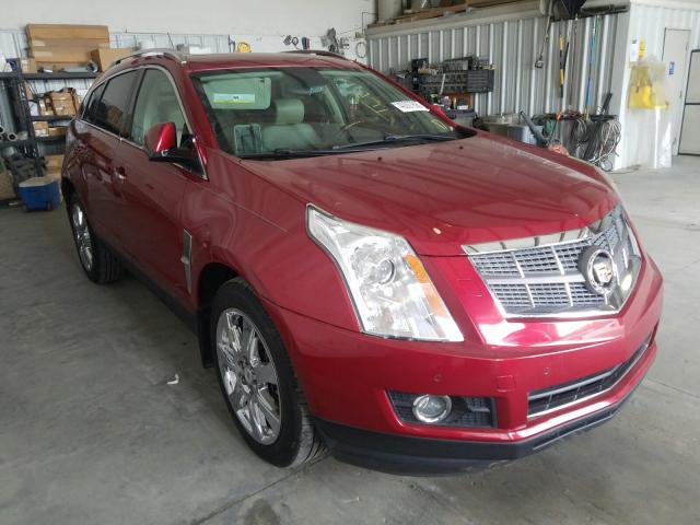 CADILLAC SRX PERFOR 2011 3gyfnbey2bs578161