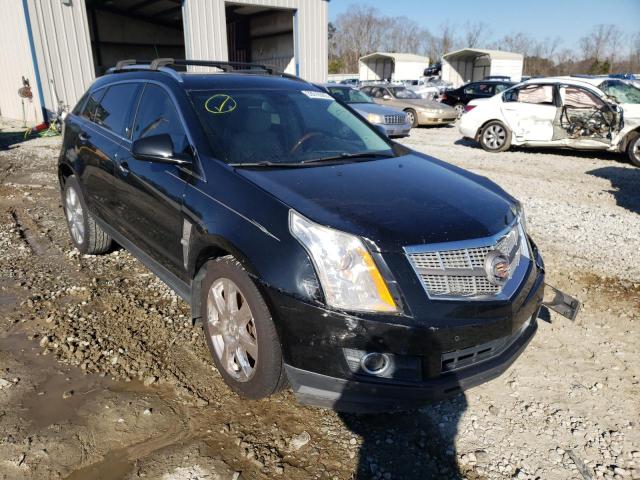 CADILLAC SRX PERFOR 2011 3gyfnbey2bs659273