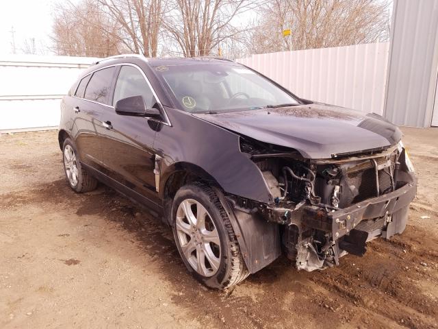 CADILLAC SRX PERFOR 2010 3gyfnbey3as514337