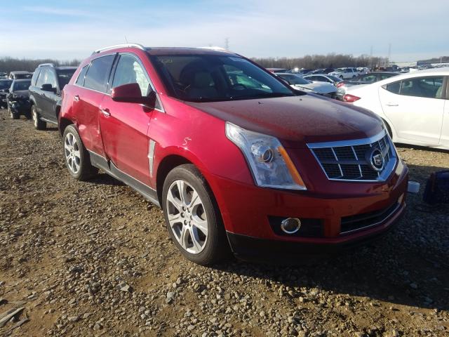 CADILLAC SRX PERFOR 2010 3gyfnbey3as561125