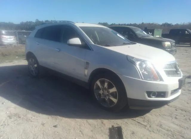 CADILLAC SRX 2010 3gyfnbey3as566860