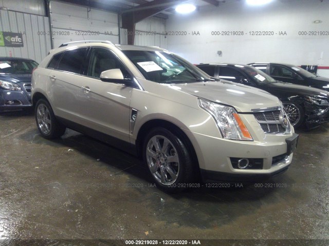 CADILLAC SRX 2010 3gyfnbey3as584646