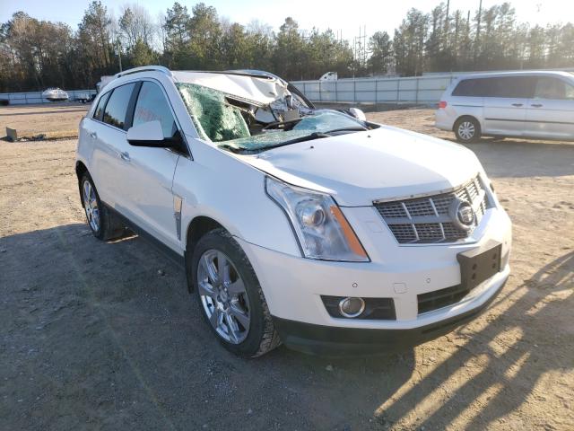 CADILLAC SRX PERFOR 2010 3gyfnbey3as601073