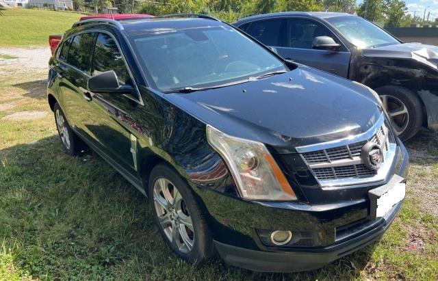 CADILLAC SRX PERFOR 2010 3gyfnbey3as603082