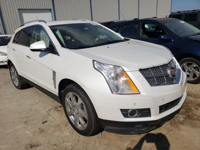 CADILLAC SRX PERFOR 2010 3gyfnbey3as606564