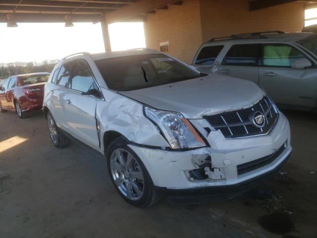 CADILLAC SRX PERFOR 2011 3gyfnbey3bs532080