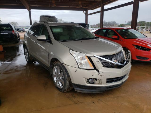 CADILLAC SRX PERFOR 2011 3gyfnbey3bs581330