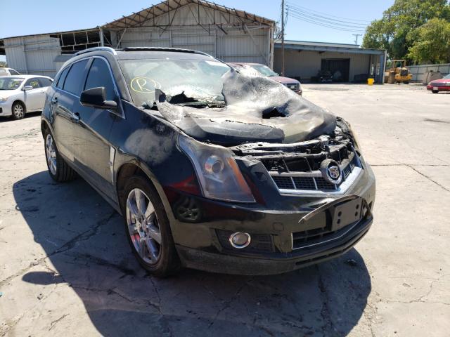 CADILLAC SRX PERFOR 2010 3gyfnbey4as570836