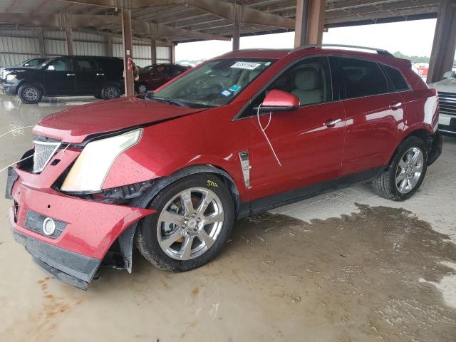 CADILLAC SRX PERFOR 2010 3gyfnbey4as576555