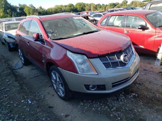 CADILLAC SRX PERFOR 2010 3gyfnbey4as628671