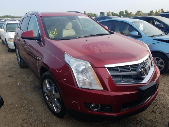 CADILLAC SRX PERFOR 2011 3gyfnbey4bs579182