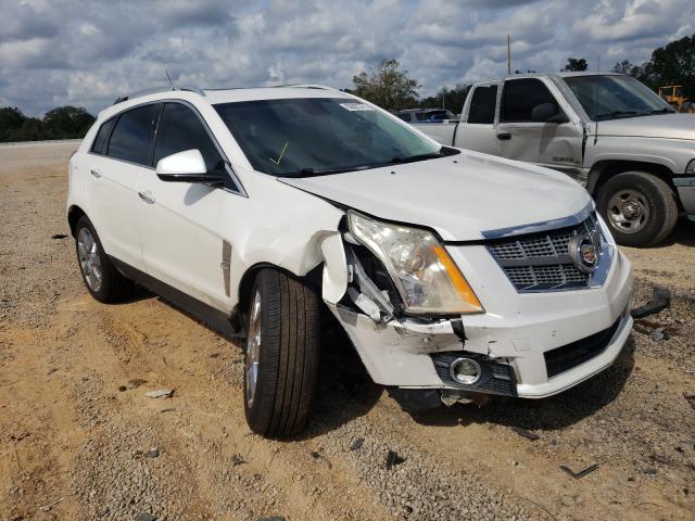 CADILLAC SRX PERFOR 2010 3gyfnbey5as596460