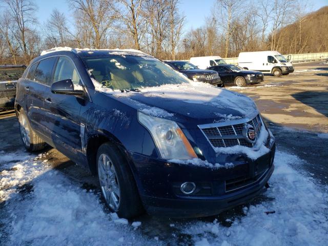 CADILLAC SRX PERFOR 2010 3gyfnbey5as602029