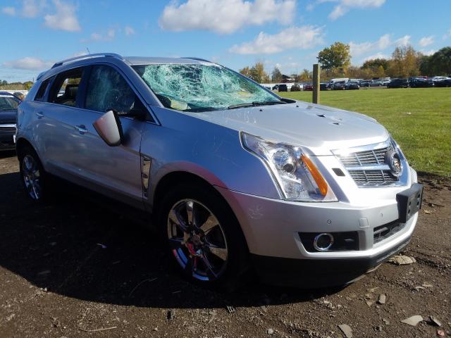 CADILLAC SRX PERFOR 2010 3gyfnbey5as622510