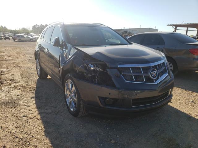 CADILLAC SRX PERFOR 2010 3gyfnbey5as639341