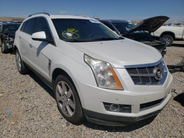 CADILLAC SRX PERFOR 2011 3gyfnbey5bs558289