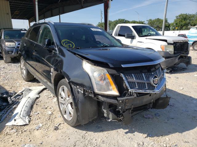 CADILLAC SRX PERFOR 2010 3gyfnbey6as511061