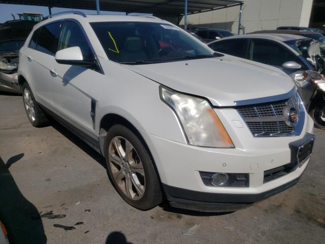 CADILLAC SRX PERFOR 2010 3gyfnbey6as562530