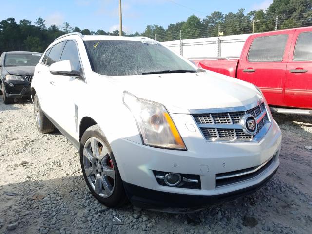 CADILLAC SRX PERFOR 2010 3gyfnbey6as577075