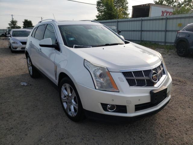 CADILLAC SRX PERFOR 2010 3gyfnbey6as585757