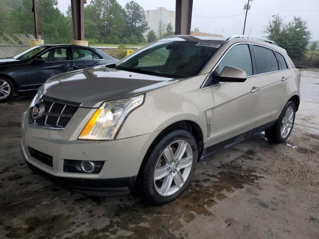 CADILLAC SRX PERFOR 2010 3gyfnbey6as596855