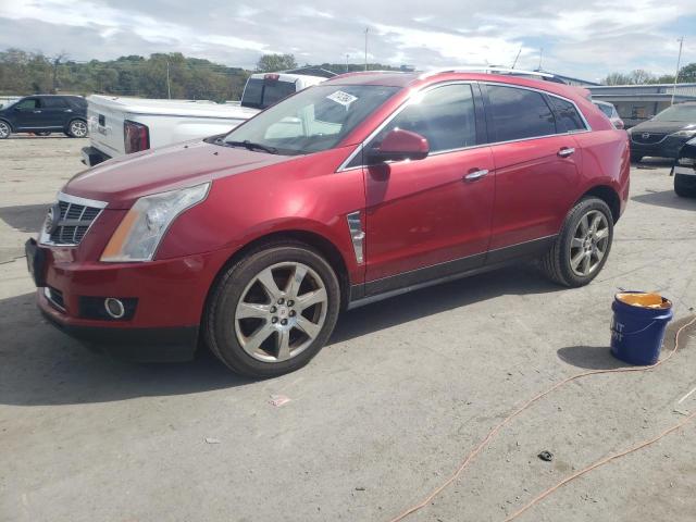 CADILLAC SRX PERFOR 2010 3gyfnbey6as628400