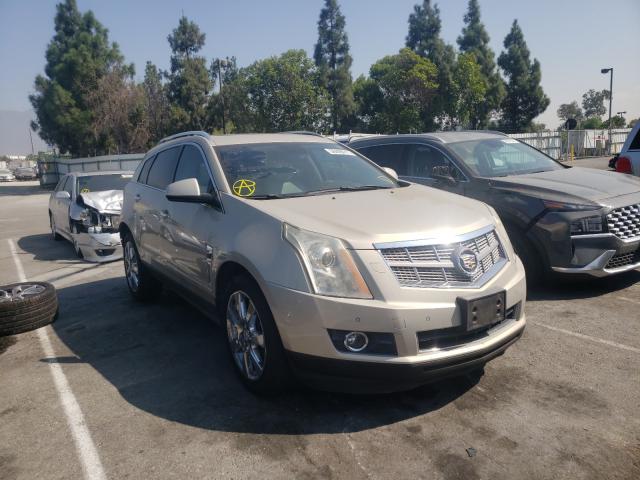 CADILLAC SRX PERFOR 2010 3gyfnbey6as646458