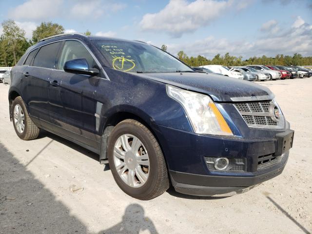 CADILLAC SRX PERFOR 2010 3gyfnbey6as646511