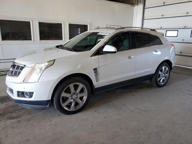 CADILLAC SRX PERFOR 2010 3gyfnbey7as562116