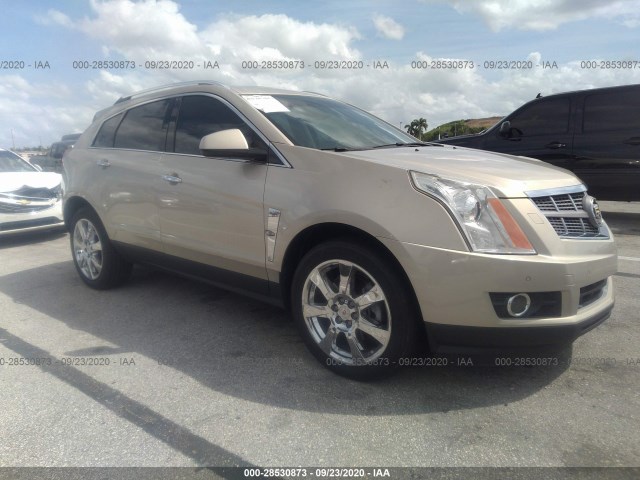 CADILLAC SRX 2010 3gyfnbey7as621486