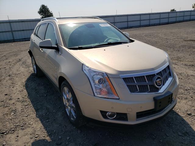 CADILLAC SRX PERFOR 2010 3gyfnbey7as654729