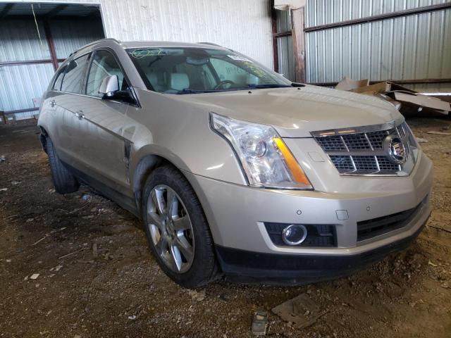 CADILLAC SRX PERFOR 2011 3gyfnbey7bs580410