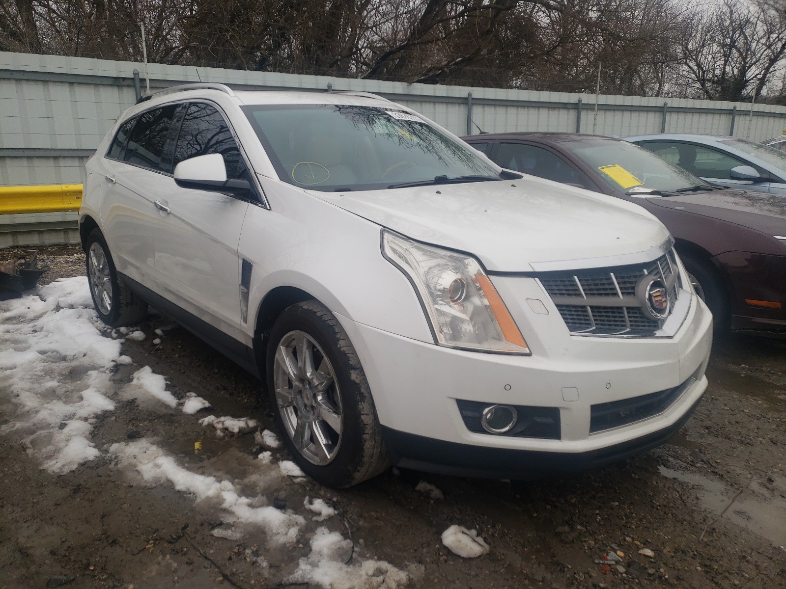 CADILLAC SRX PERFOR 2010 3gyfnbey8as562271