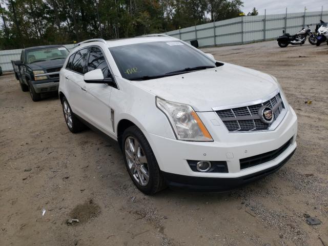 CADILLAC SRX PERFOR 2010 3gyfnbey8as595335