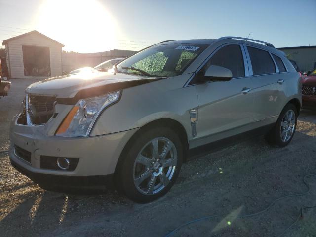 CADILLAC SRX PERFOR 2011 3gyfnbey8bs587754