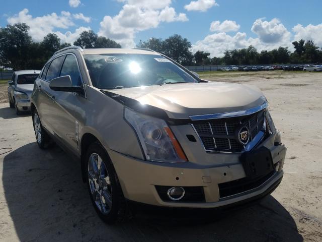 CADILLAC SRX PERFOR 2011 3gyfnbey8bs589794