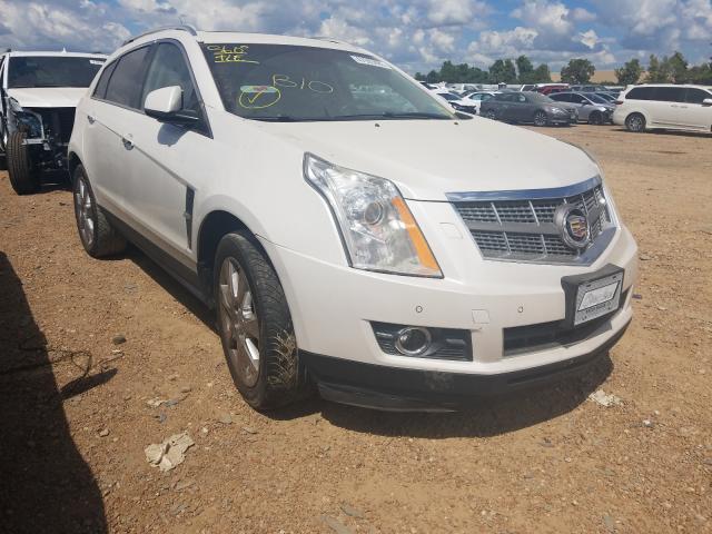 CADILLAC SRX PERFOR 2011 3gyfnbey8bs610367