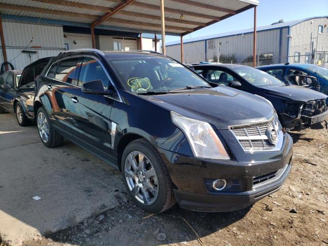 CADILLAC SRX PERFOR 2010 3gyfnbey9as540201