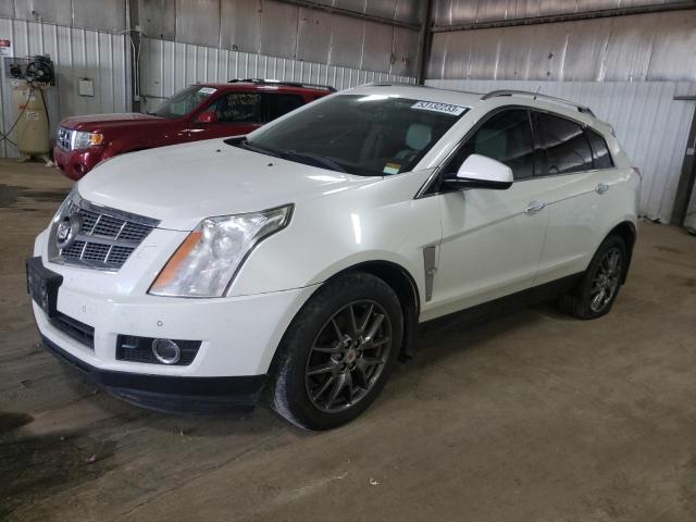 CADILLAC SRX PERFOR 2010 3gyfnbey9as556642