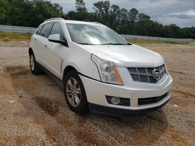 CADILLAC SRX PERFOR 2010 3gyfnbey9as571769