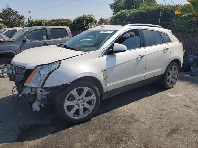 CADILLAC SRX PERFOR 2010 3gyfnbey9as577068