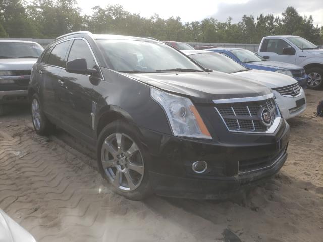 CADILLAC SRX PERFOR 2010 3gyfnbey9as603457