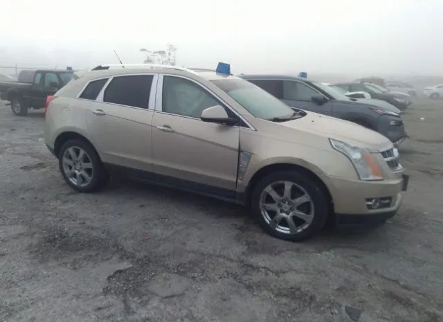 CADILLAC SRX 2010 3gyfnbey9as604723