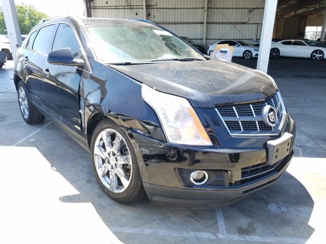 CADILLAC SRX PERFOR 2010 3gyfnbey9as631372