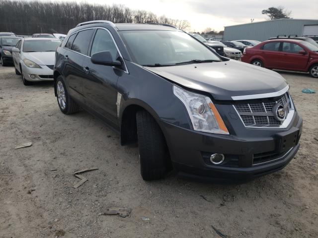 CADILLAC SRX PERFOR 2010 3gyfnbey9as647264