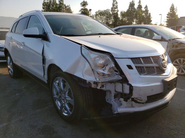 CADILLAC SRX PERFOR 2011 3gyfnbey9bs555816